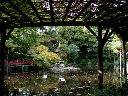WaterGarden